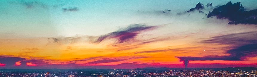 潜江茶虫网_潜江品茶